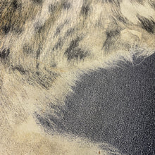 Carica l'immagine nel visualizzatore di Gallery, Roberto Cavalli "Fur" Jeans 1990s