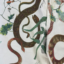 Carica l'immagine nel visualizzatore di Gallery, Just Cavalli "Snakes" Jeans