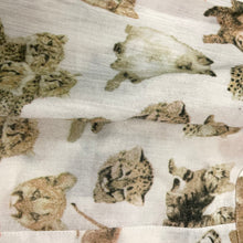 Carica l'immagine nel visualizzatore di Gallery, D&G "Kittens" Shirt